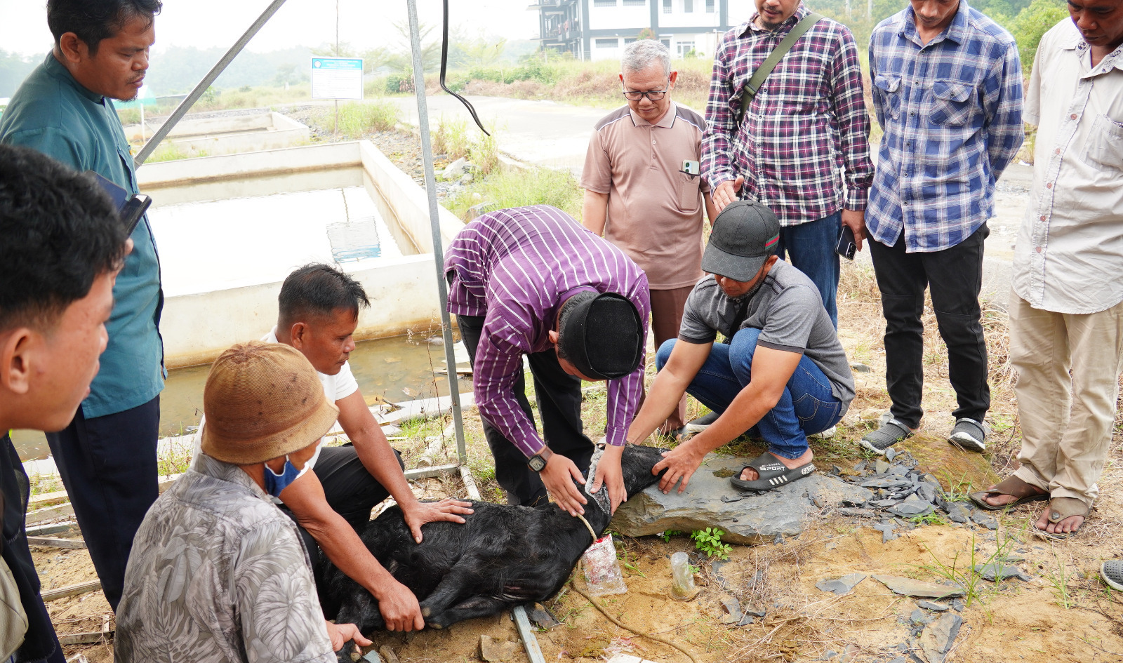 Read more about the article Perkuat Ekosistem Industri Halal, Tim Pengabdian POLTESA Gelar Pelatihan Juru Sembelih Halal di Kabupaten Sambas